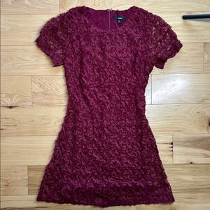 NWOT Lulus Burgundy Cut Lace on Mesh Mini Dress | Size Small